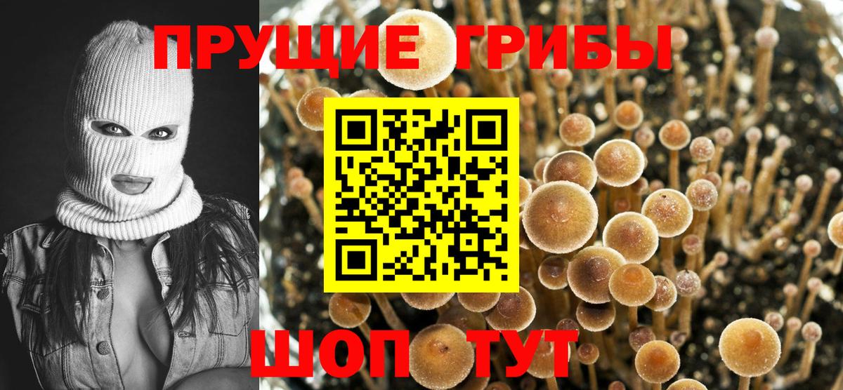 Псилоцибиновые грибы MAGIC MUSHROOMS Жуковский