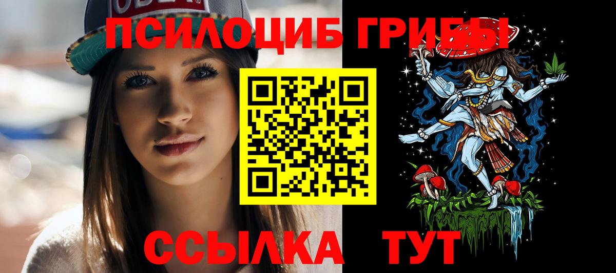 Жуковский  Галлюциногенные грибы Psilocybine cubensis  Вход с VPN 